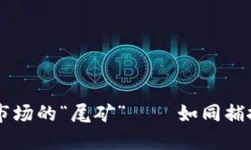 掌握数字货币市场的“尾矿” — 如同捕捉星空下的流星