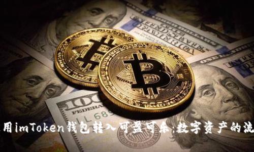 如何使用imToken钱包转入可盈可乐：数字资产的流动之舞