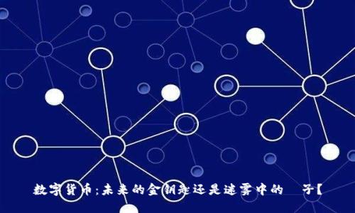 数字货币：未来的金钥匙还是迷雾中的鏡子？