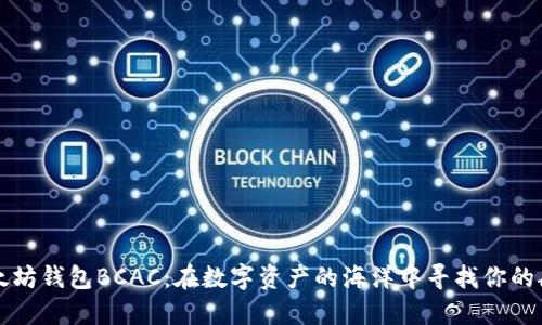 以太坊钱包BCAC：在数字资产的海洋中寻找你的航标