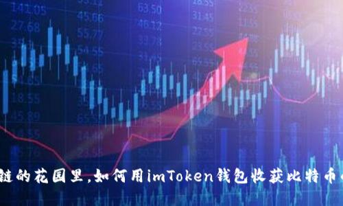 在区块链的花园里，如何用imToken钱包收获比特币的果实？