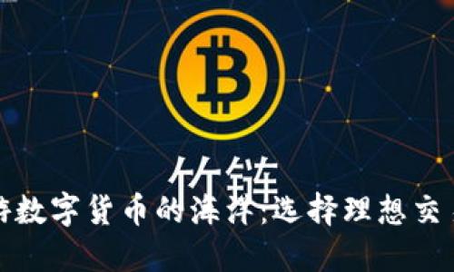 在新加坡畅游数字货币的海洋：选择理想交易平台的指南