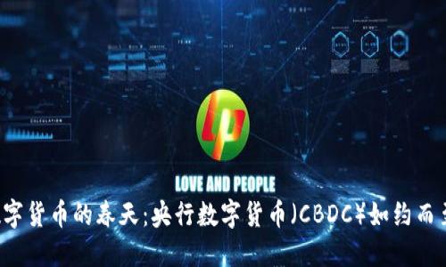 数字货币的春天：央行数字货币（CBDC）如约而至！