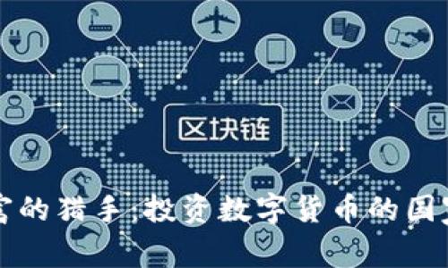 虚拟财富的猎手：投资数字货币的国家大比较