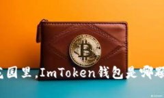 在区块链的花园里，ImTo