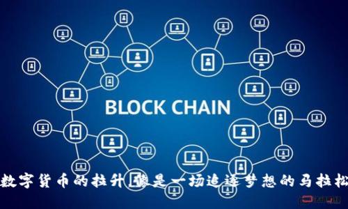 数字货币的拉升，像是一场追逐梦想的马拉松