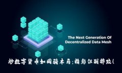 炒数字货币如同骑木马：