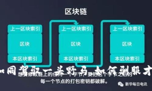 数字货币的监管如同驾驭一头野马，如何驯服才能让它为我所用？
