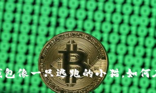 当心！你的imToken钱包像一只逃跑的小猫，如何在大海捞针中找到它？