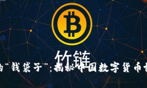 数字时代的“钱袋子”：揭秘中国数字货币协会的奥秘