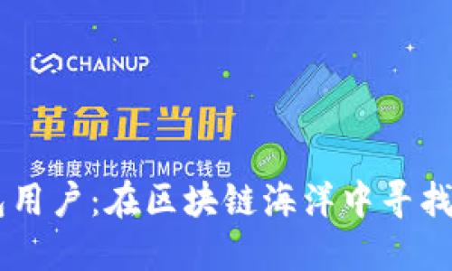 以太坊钱包用户：在区块链海洋中寻找金矿的水手