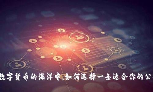 在数字货币的海洋中，如何选择一条适合你的公链？