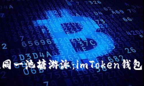 “有些鱼不适合在同一池塘游泳：imToken钱包为何不支持BSV?”