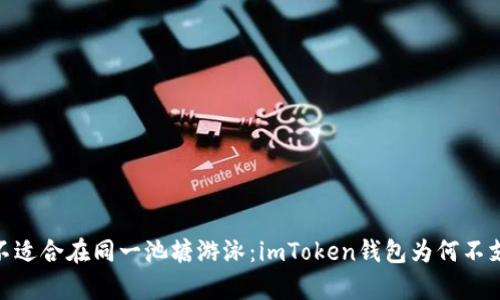 “有些鱼不适合在同一池塘游泳：imToken钱包为何不支持BSV?”