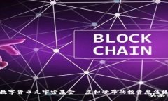 数字货币元宇宙基金—虚