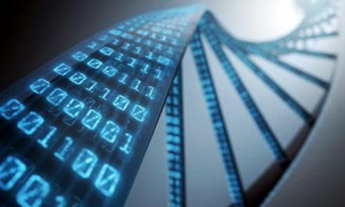 为何你的imToken钱包地址会被判定为无效?

在数字货币的世界中，钱包地址的有效性就像你的个人信用报告。当你发现自己的imToken钱包地址被系统判定为无效时，不妨想象一下这就像是多年来用来收信的邮箱，突然间却收不到任何信件了。于是你不仅感到困惑，而且还有一种难以言喻的焦虑感。那么，钱包地址无效的原因到底是什么呢？

1. 错误的输入

首先，最常见的原因就是输入错误。这就像你在输入微信号码时，随便按了几下，结果打通的是一个陌生人的电话。钱包地址通常由一串字符组成，稍有不慎，你就可能输入了错误的字符或遗漏了某个字符。为了避免这种尴尬，建议使用复制粘贴的方式，确保无误。

2. 过时的版本

有时候，软件的老版本也可能导致钱包地址显示无效。想象一下，你的老式手机就像是个“古董”，总是和新的技术脱节，让你不能够接收到最新的信息。imToken的更新频繁，保持软件的新鲜感是为了避免这些潜在问题。因此，确保你使用的是最新版本的imToken钱包，能够大大降低出现地址无效的几率。

3. 地址格式问题

数字货币钱包地址有时会要求特定的格式，稍微不符合就可能被判定为无效。就像你填写报名表时，如果不按照格式要求来，评委就会直接把你的作品撇给一旁。确保使用的地址符合相应的格式标准，可以在imToken的官方文档中找到具体 requirments。

4. 钱包支持的币种

有些钱包地址只支持特定的币种。如果你试图用一个不受支持的币种地址进行交易，就会发现无效的标志出现了。就像你想用美元在日本买东西，而店主却坚持只收日元。确保你的交易币种与钱包支持的币种一致，这样才能顺利进行。

5. 网络问题

网络连接不稳定也可能导致你的交易无法确认。有时你以为已经发送了交易，结果网络一抖，这笔交易就成了“失踪人口”。因此，跟网络打个好交道不是坏主意， 确保在良好的网络环境下进行交易。

6. 钱包被封或禁止交易

某些情况下，你的钱包可能因为违规操作而被封禁。想象一下，你因为排队太懒，不小心喝了油腻的饮料，结果被餐厅警告。开始遵循规定，才能确保不受罚。不过，看到这条提示时，祈祷你的钱包不要“失宠”是最安全的。

总结

在数字货币的旅程中，钱包地址无效这个问题虽然烦人，但其实只需仔细对待，逐一排查，往往能够迎刃而解。请牢记：保持软件更新、仔细检查地址输入、确保网络连接和遵循钱包规定，这些都能使你的交易之路更为顺畅。万一遇见问题，不妨和社区的其他用户探讨，或搜索相关FAQ，或许灵感就在你指尖游走的那一刻。

谁说数字货币的世界只能严肃？在这里，我们不仅对待每一个小问题都要认真，更要找到乐趣，与朋友分享经验和小插曲，这才是最重要的！

imToken钱包, 钱包地址无效, 数字货币, 钱包安全/guanjianci

以上是关于imToken钱包地址无效的一些常见问题和对策，希望可以帮到你！