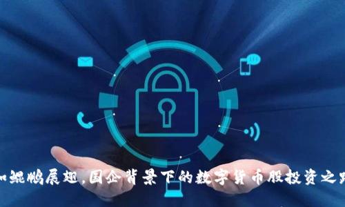 如鲲鹏展翅，国企背景下的数字货币股投资之路