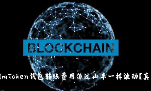 为什么imToken钱包转账费用像过山车一样波动？真相揭秘！