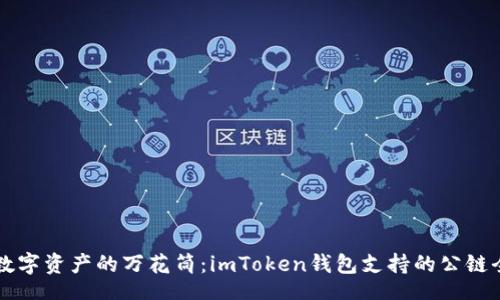 div
    数字资产的万花筒：imToken钱包支持的公链全揭秘