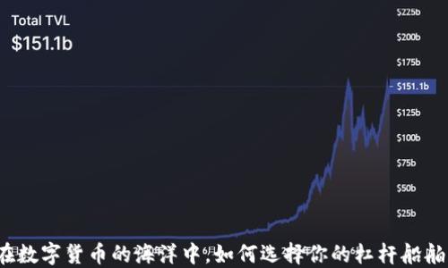 
在数字货币的海洋中，如何选择你的杠杆船舶？