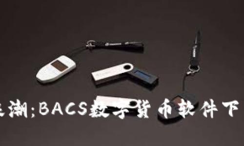 驾驭数字币浪潮：BACS数字货币软件下载的完美指南