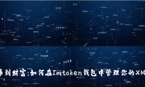 从铸币到财富：如何在Imtoken钱包中管理你的XMC资产