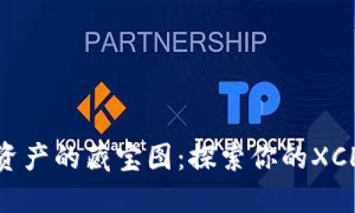 数字资产的藏宝图:探索你的XCH之旅