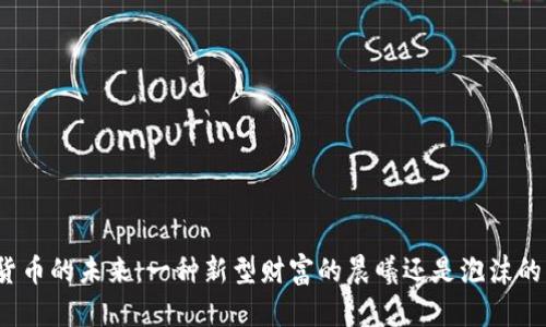 数字货币的未来：一种新型财富的晨曦还是泡沫的梦幻？