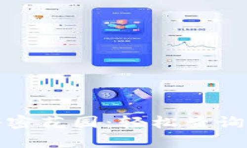 数字货币的秘密花园：轻松查询你的官方账单