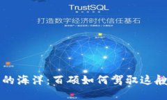 “数字货币的海洋：百硕