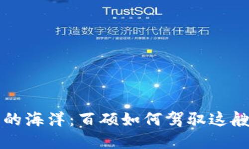 “数字货币的海洋：百硕如何驾驭这艘未来之船”