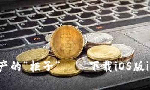 轻松打造数字资产的“柜子”——下载iOS版imToken钱包指南