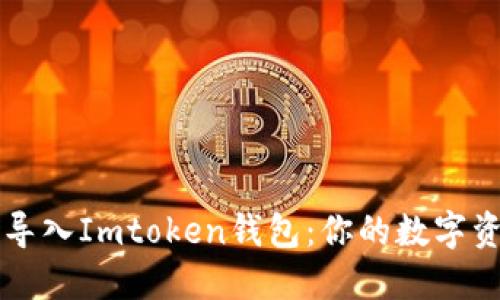 如何轻松导入Imtoken钱包：你的数字资产小助手