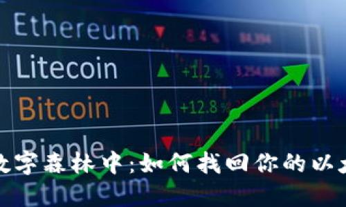 如同迷失在数字森林中：如何找回你的以太坊钱包密码