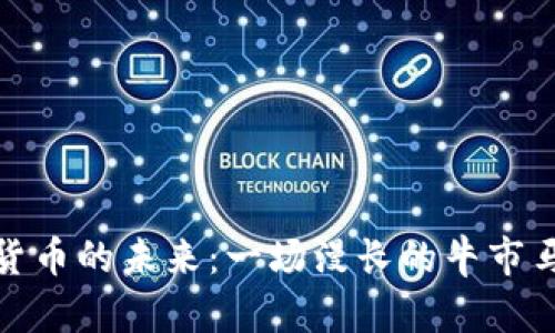 数字货币的未来：一场漫长的牛市马拉松
