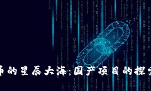 数字货币的星辰大海：国产项目的探索与前景