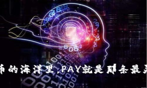 在数字货币的海洋里，PAY就是那条最灵活的小鱼