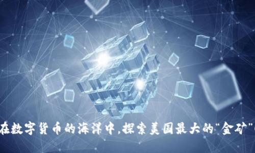 在数字货币的海洋中，探索美国最大的“金矿”！