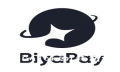 “把钱装进口袋：imToken钱