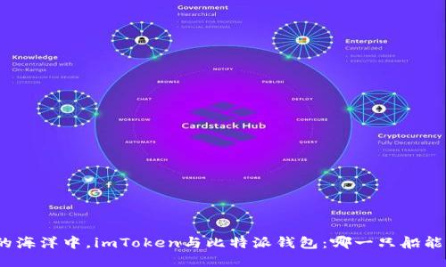 在区块链的海洋中，imToken与比特派钱包：哪一只船能载你远航？