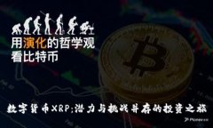 数字货币XRP：潜力与挑战