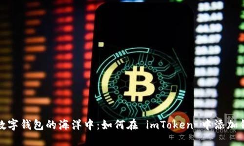 在数字钱包的海洋中：如何在 imToken 中添加钱包
