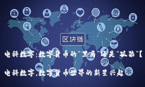 电科数字：数字货币的“黑马”还是“孤狼”？

电科数字，数字货币世界的新星兴起
