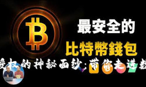 揭开imToken钱包授权的神秘面纱：带你走进数字资产的安全天堂