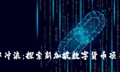 在科技浪潮中冲浪：探索新加坡数字货币项目的未来之路