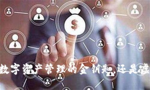 “IMToken钱包：数字资产管理的金钥匙，还是虚拟世界的迷雾？”