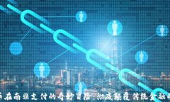 数字货币在南非支付的奇