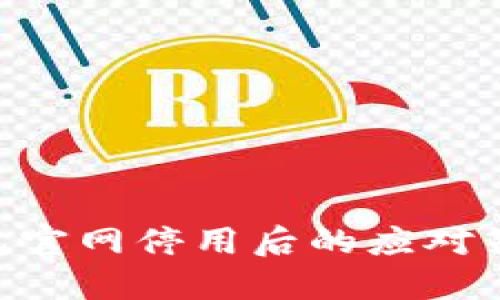 : imToken钱包官网停用后的应对策略与用户指南