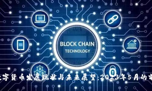  央行数字货币发展现状与未来展望：2023年5月的前瞻分析
