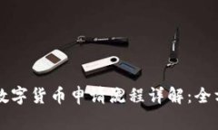 菲律宾数字货币申请流程